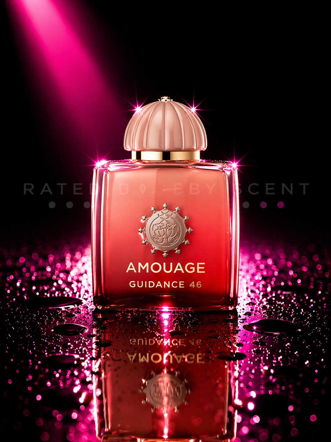Amouage Guidance 46